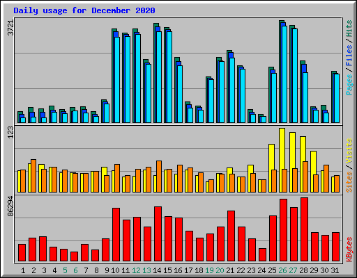 Daily usage for December 2020