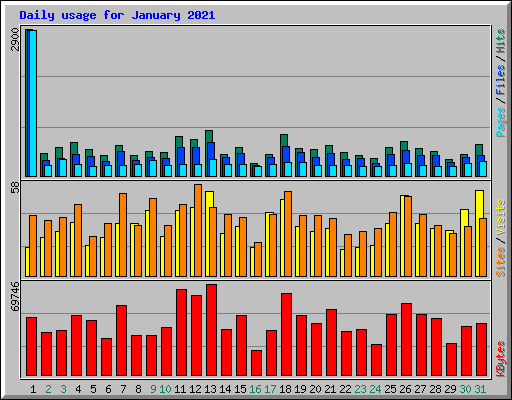 Daily usage for January 2021