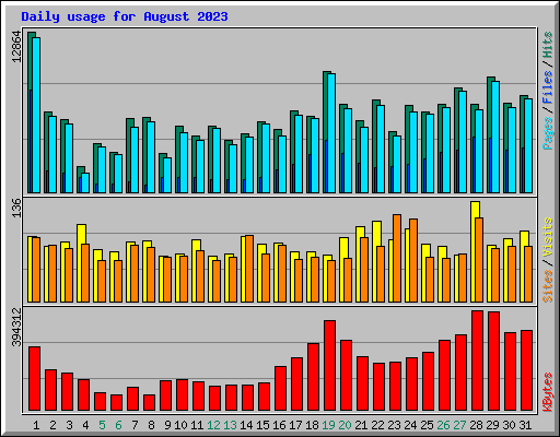 Daily usage for August 2023