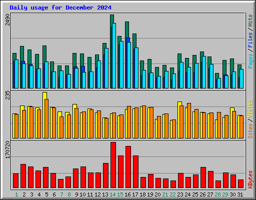 Daily usage for December 2024