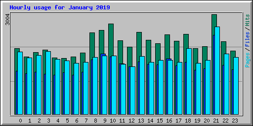Hourly usage for January 2019