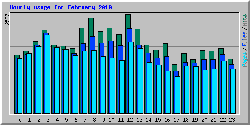 Hourly usage for February 2019