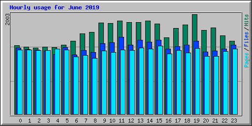 Hourly usage for June 2019