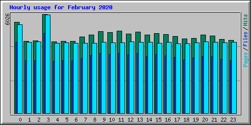Hourly usage for February 2020