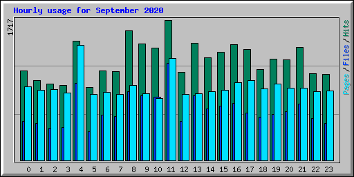 Hourly usage for September 2020
