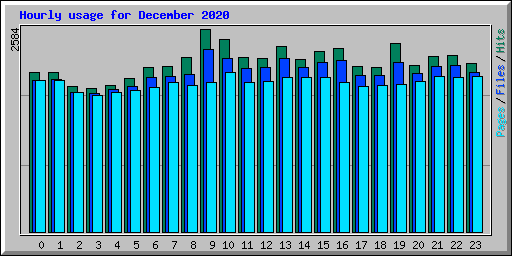 Hourly usage for December 2020