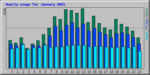 Hourly usage for January 2021