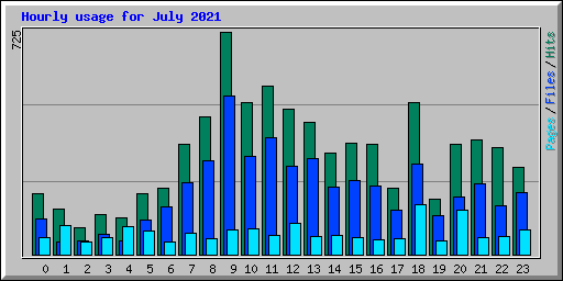 Hourly usage for July 2021