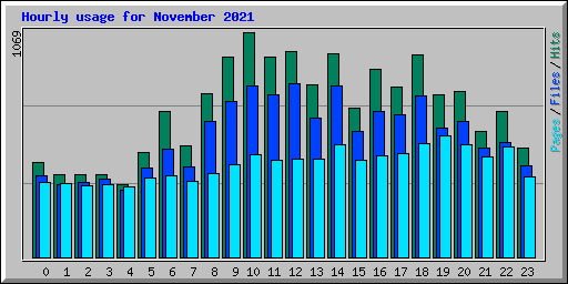 Hourly usage for November 2021
