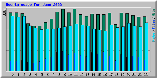 Hourly usage for June 2022