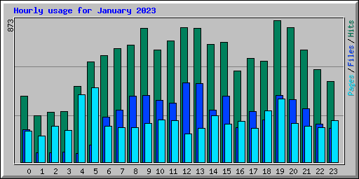 Hourly usage for January 2023