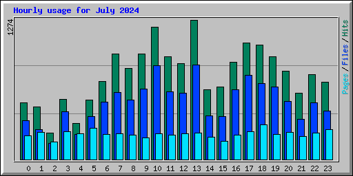 Hourly usage for July 2024