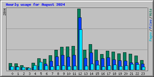 Hourly usage for August 2024