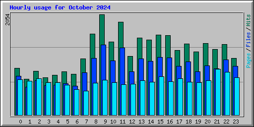 Hourly usage for October 2024