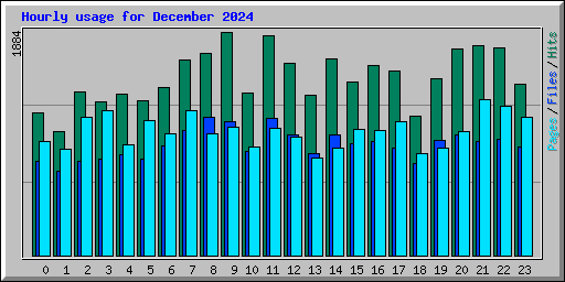 Hourly usage for December 2024