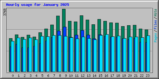 Hourly usage for January 2025