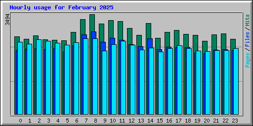 Hourly usage for February 2025