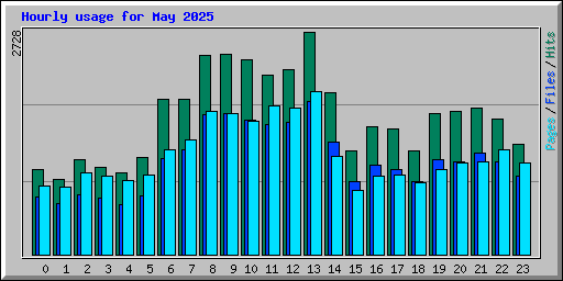 Hourly usage for May 2025