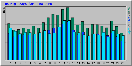 Hourly usage for June 2025